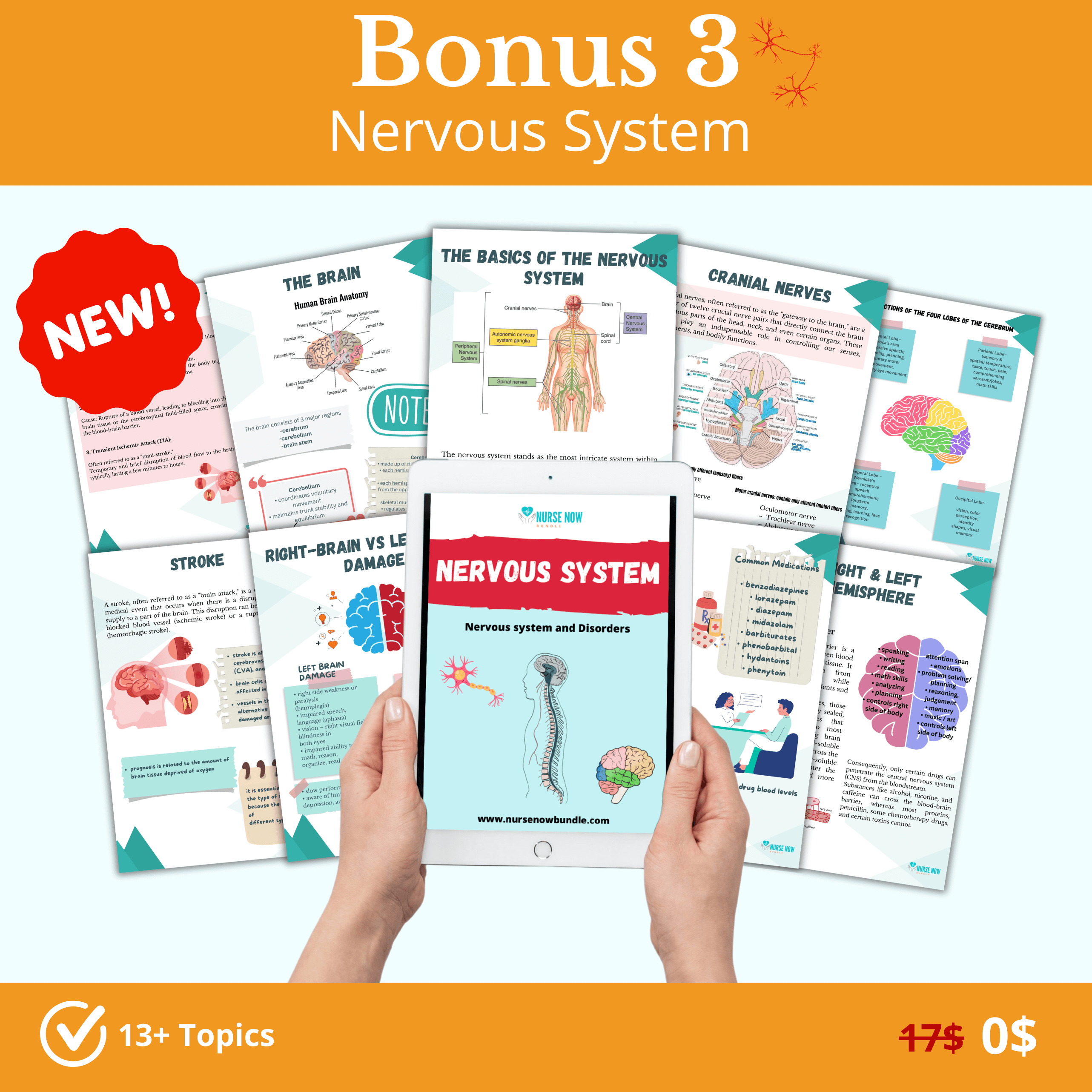 The All-In-One Nurse Now Bundle